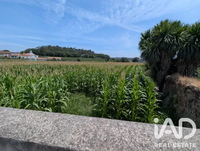 Terrain agricole à Rio Mau