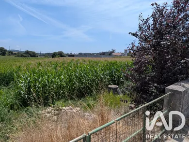 Terrain agricole à Rio Mau