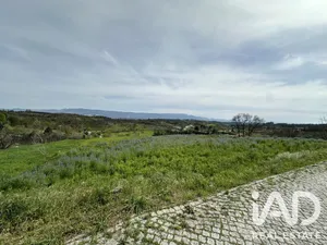 Farm land in Mangualde