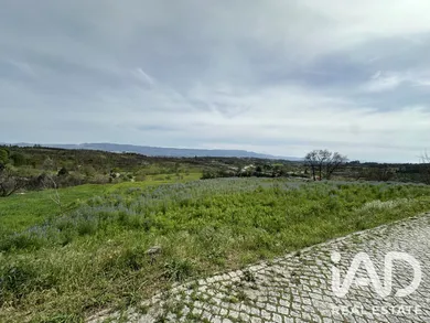 Farm land in Mangualde