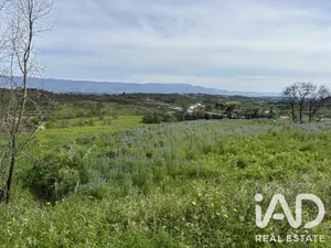 Terreno rústico  em Mangualde