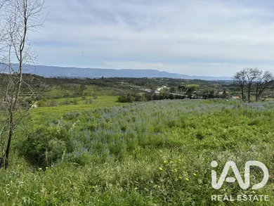 Farm land in Mangualde