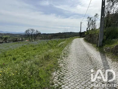 Farm land in Mangualde