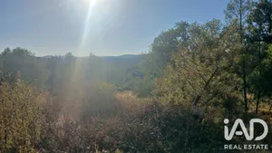 Farm land in Salgueirinho