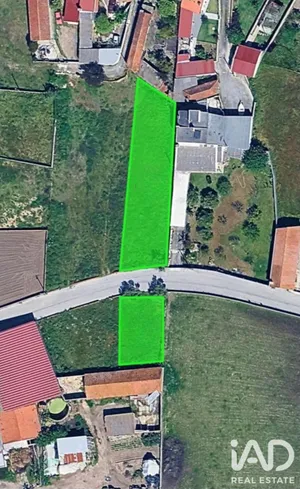 Land in Pardilhó