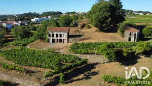 Rural farm  in Amarante