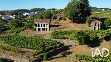 Rural farm  in Amarante