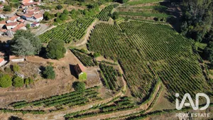 Ferme rurale  à Amarante