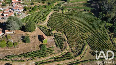 Rural farm  in Amarante