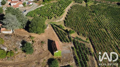 Rural farm  in Amarante