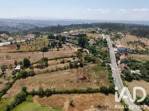 Farm land in Carregal do Sal