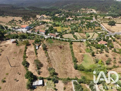 Farm land in Carregal do Sal