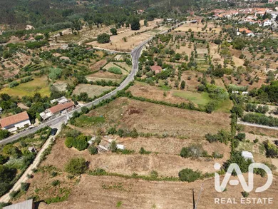 Farm land in Carregal do Sal