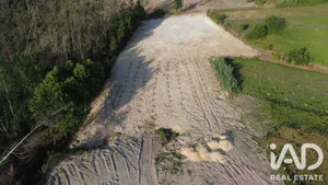 Terreno rústico em Souto da Carpalhosa