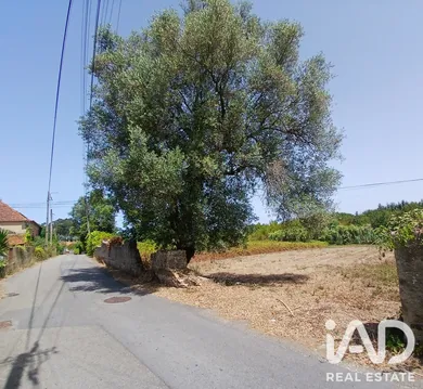 Terreno  em Ouca