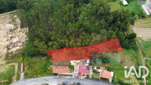 Terreno  em Olival