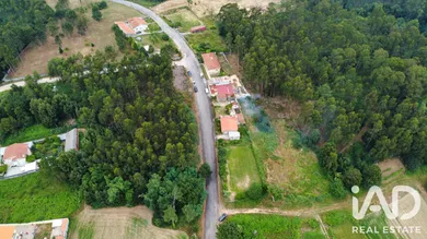 Terreno  em Olival