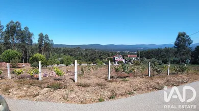 Terreno  em Vila Facaia
