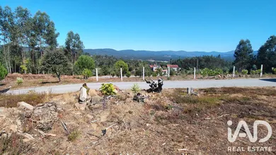 Terreno  em Vila Facaia