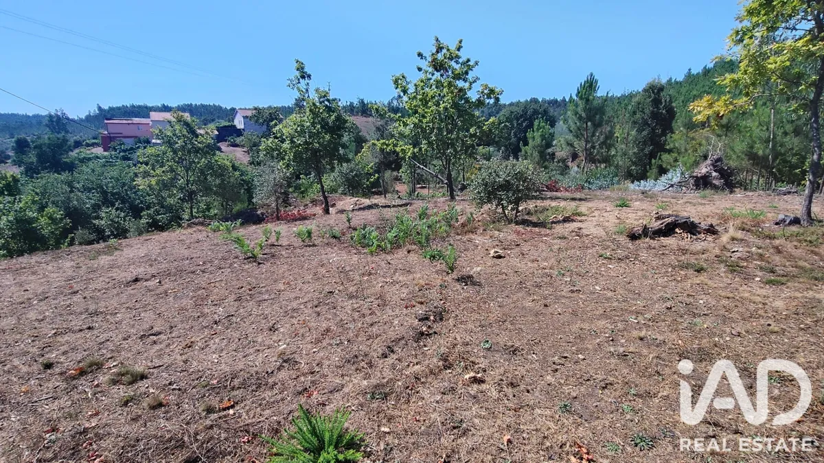 Terreno de 1902 m² em Vila Facaia