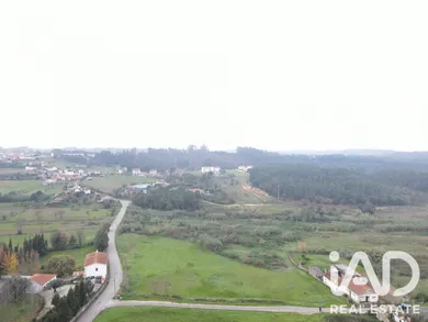 Terreno rústico em Coimbra