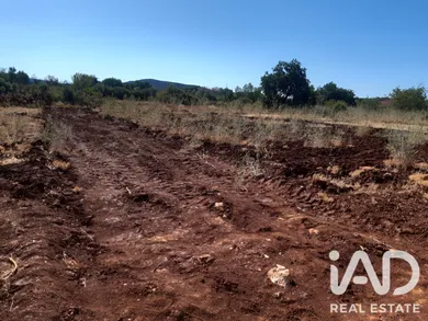 Terreno rústico em Varzea Ruiva