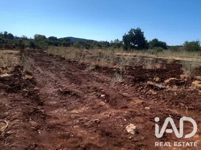 Fotografia 4 de Terreno rústico de 4370 m² em Monte Brito
