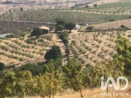 Farm land  in Poiares