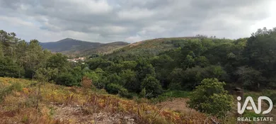 Farm land in Mões