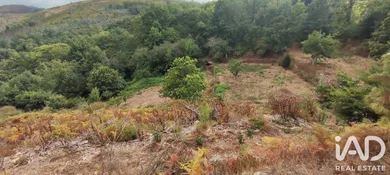 Farm land in Mões