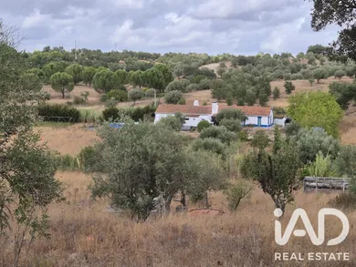 Rural farm  in Brotas