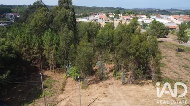 Terreno em Sangalhos