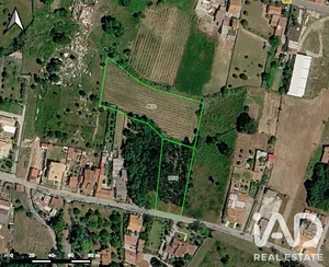 Terreno  em Sangalhos