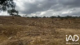 Farm land  in Santiago do Cacem