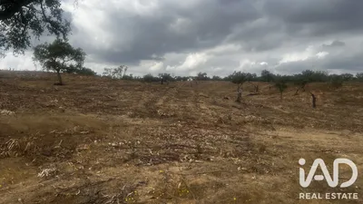 Fotografia 3 de Terreno rústico de 6650 m² em Santiago do Cacem