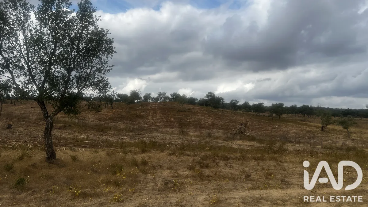 Terreno rústico de 6650 m² em Santiago do Cacem