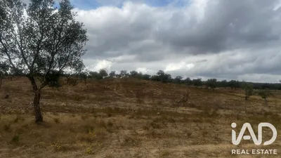 Fotografia 1 de Terreno rústico de 6650 m² em Santiago do Cacem