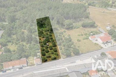 Terreno urbano em Marinha Grande