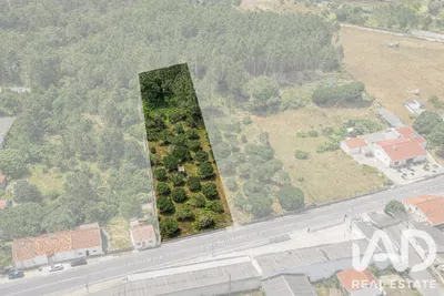 Fotografia 4 de Terreno urbano de 3355 m² em Marinha Grande