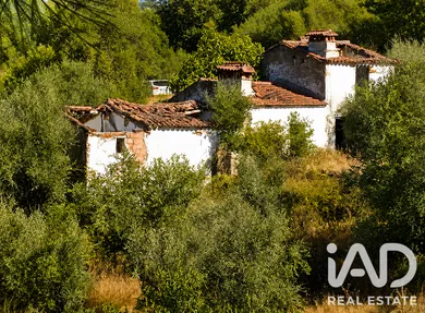 Farm in Alegrete