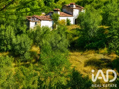 Farm in Alegrete