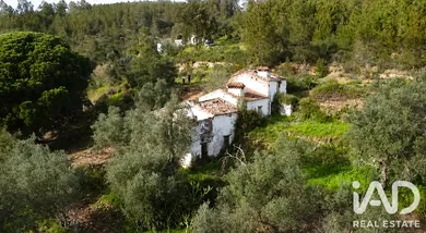 Farm in Alegrete