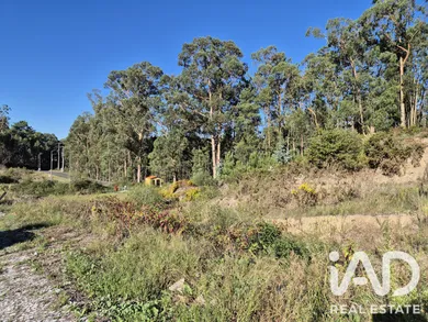 Land in Fajões