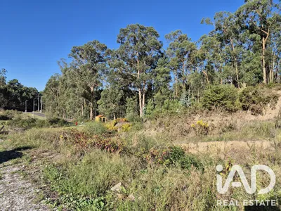 Fotografia 3 de Terreno de 6254 m² em Fajões