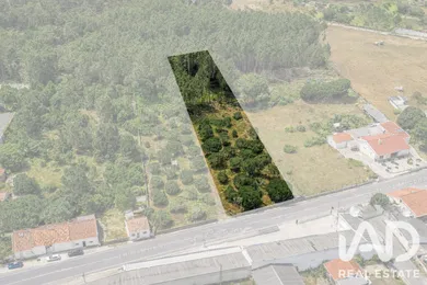 Terreno urbano em Marinha Grande