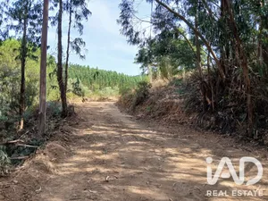Quinta rural  em Sabóia