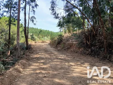 Quinta rural em Sabóia