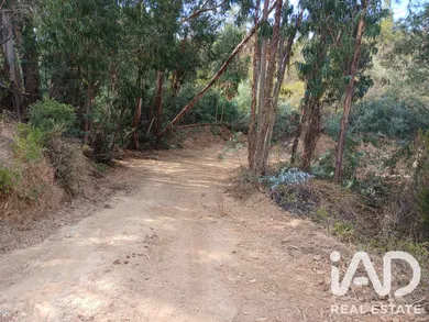 Quinta rural em Sabóia