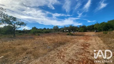 Fotografia 3 de Terreno rústico de 2800 m² em São Bartolomeu de Messines