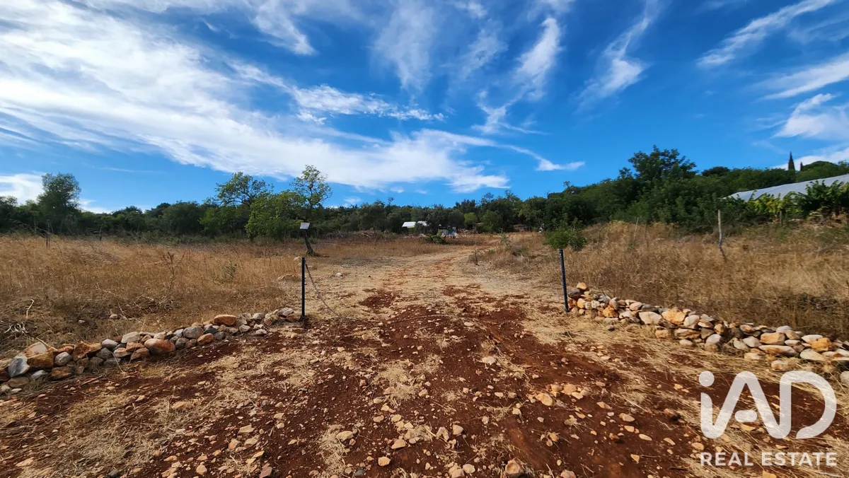 Terreno rústico de 2800 m² em São Bartolomeu de Messines